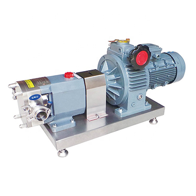 Rotary Lobe Pump